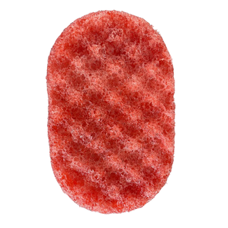 Lost Cherry Soap Sponge