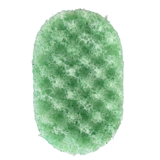 Pride Soap Sponge